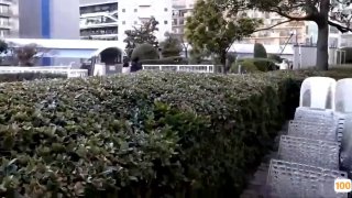 午夜激情网站在线观看